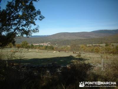 Senderismo Sierra del rincón - Sierra de Madrid; viajes senderismo madrid; senderismo entre semana 